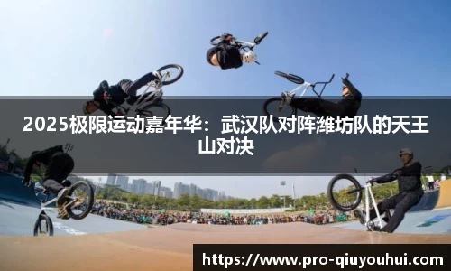 2025极限运动嘉年华：武汉队对阵潍坊队的天王山对决